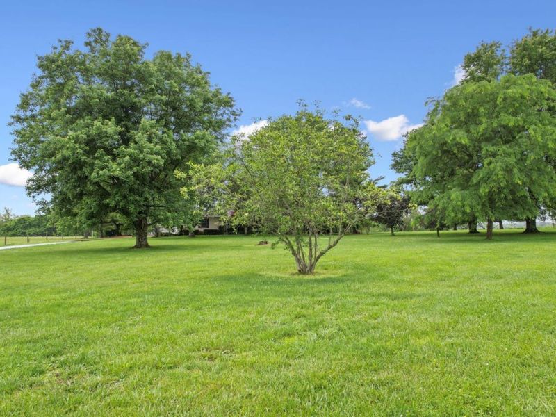 8138 St. Rt. 125, Jefferson Twp, OH 45168 Photo 45