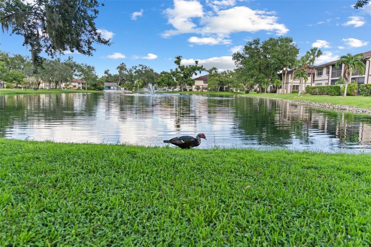 19505 Quesada Avenue, Unit AA204, Port Charlotte, FL 33948 Photo