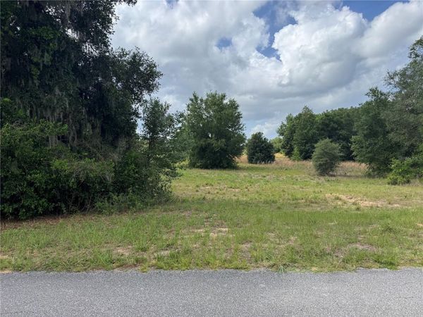 TBD KEENE ROAD , ALTOONA, FL 32702