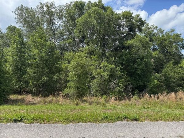 TBD KEENE ROAD , ALTOONA, FL 32702