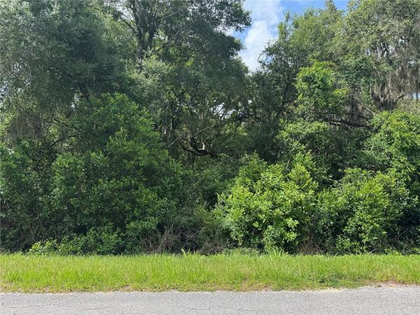 TBD KEENE ROAD , ALTOONA, FL 32702