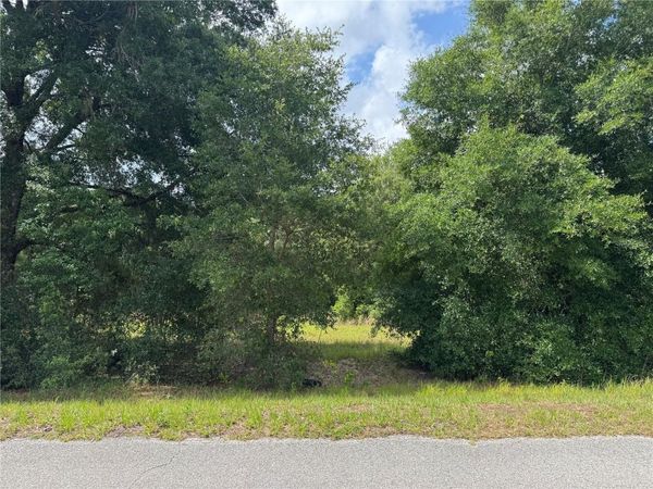 TBD KEENE ROAD , ALTOONA, FL 32702