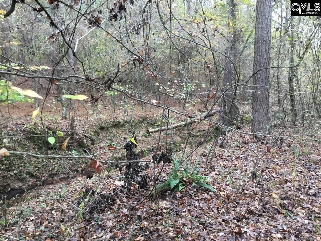 Old Cherokee Road  Photo 15