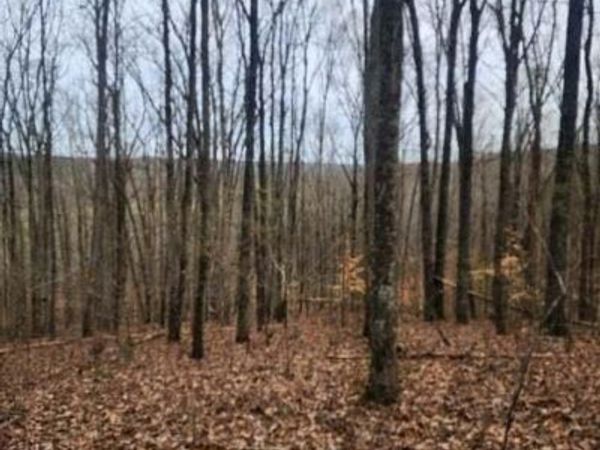 Upper Concord Rd, Ten Mile, TN 37880