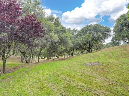 4860 Silk Tree Ln, Cool, CA 95614 Photo