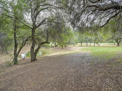 4860 Silk Tree Ln, Cool, CA 95614 Photo
