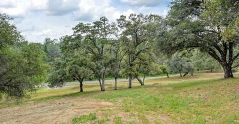 4860 Silk Tree Ln, Cool, CA 95614 Photo