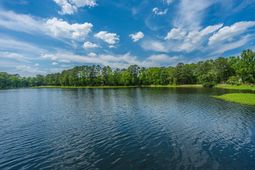 1719 Waterside Boulevard photo 4