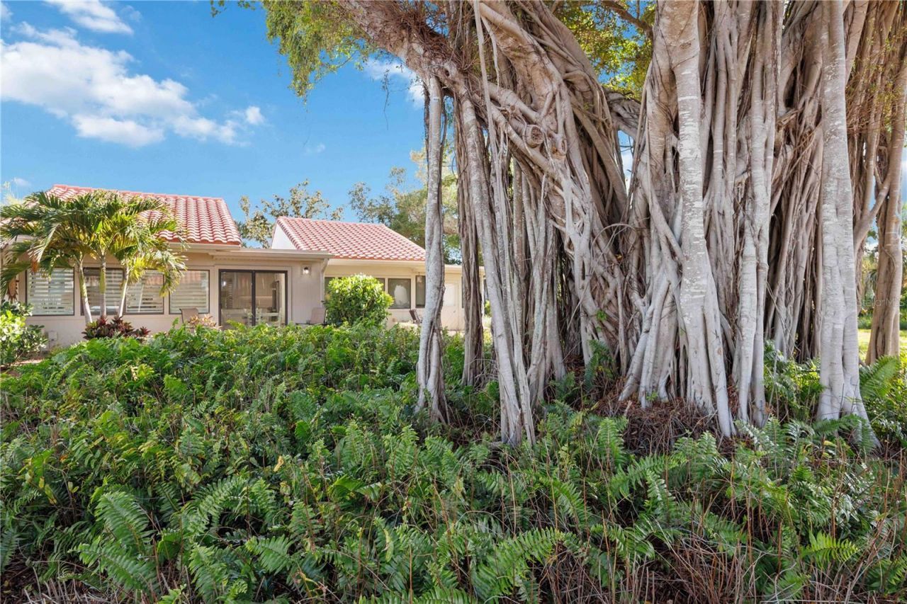 500 Park Boulevard S, Unit 22, Venice, FL 34285 Photo