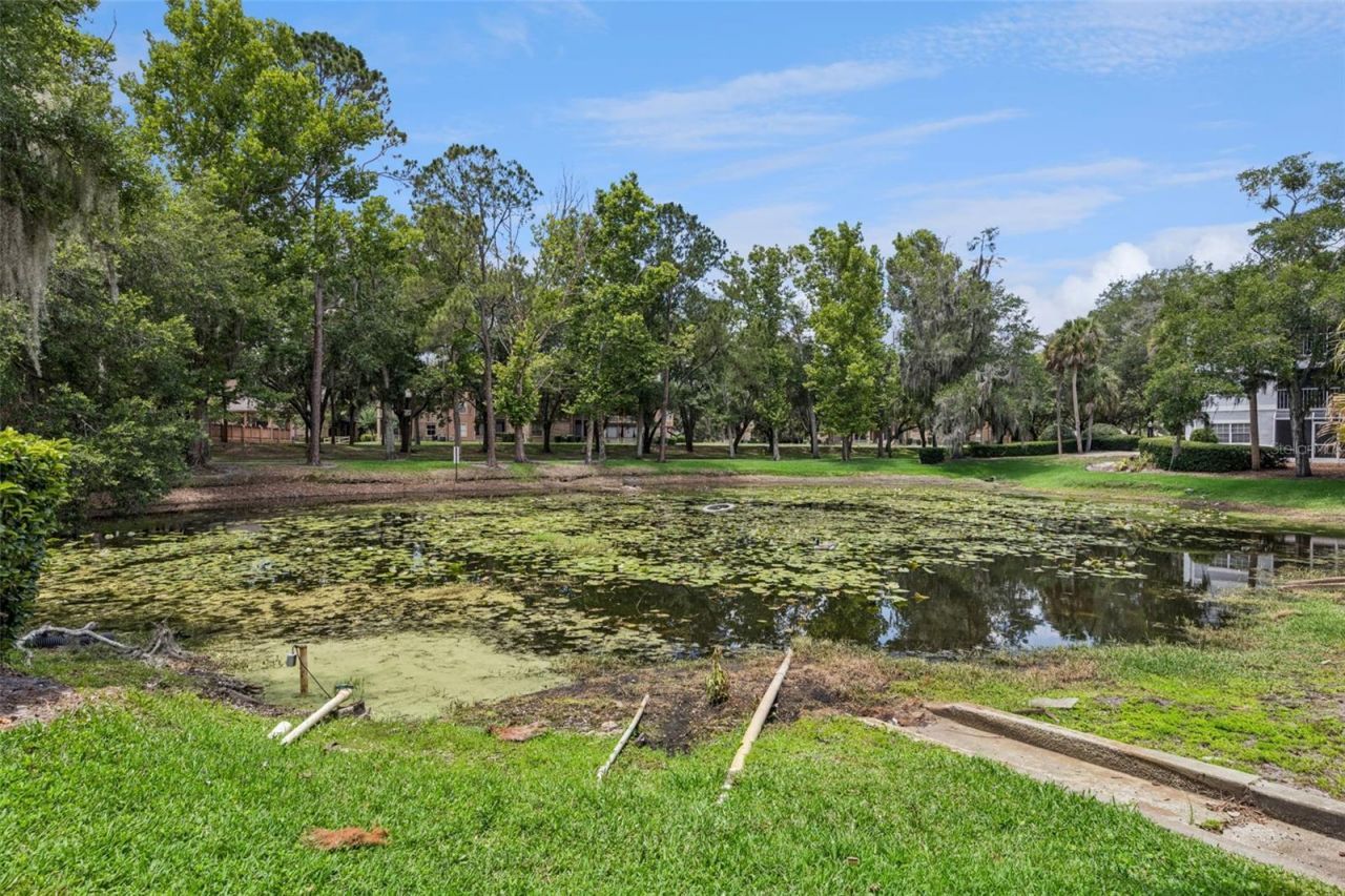 1101 Clubside Drive, Unit 1101, Longwood, FL 32779 Photo