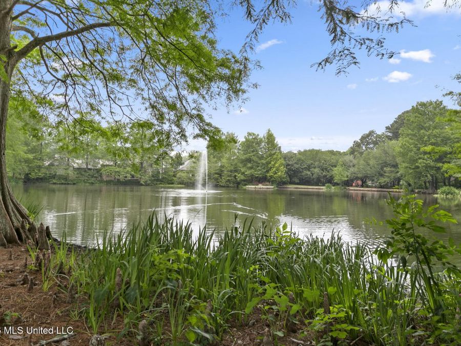 Property Image 63