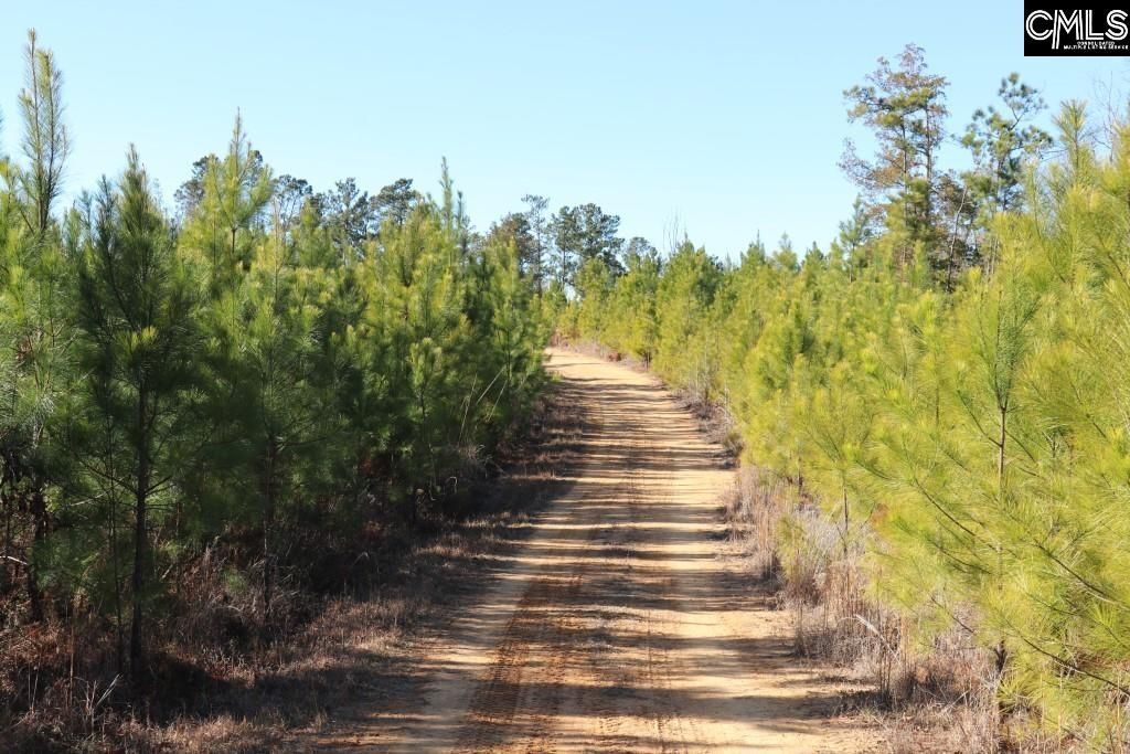 Mobley Highway  Photo 11