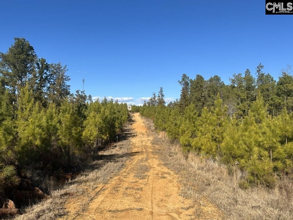 Mobley Highway  Photo 17