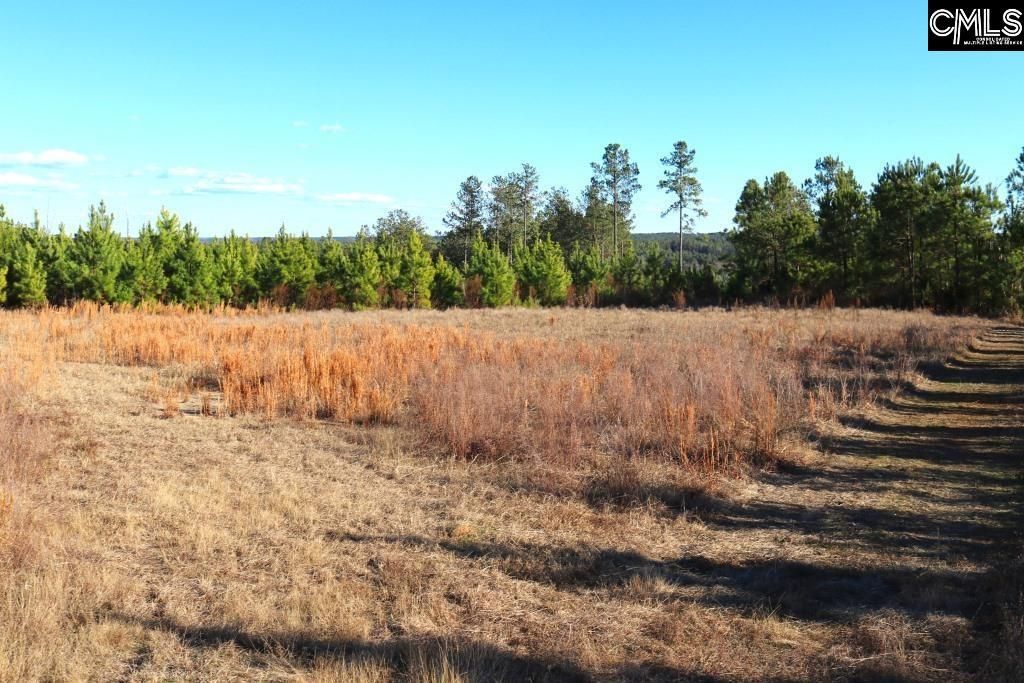 Mobley Highway  Photo 19