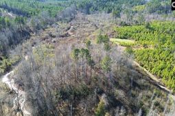 Mobley Highway  photo 4