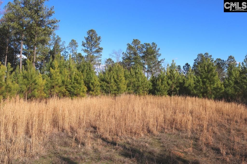 Mobley Highway  Photo 21