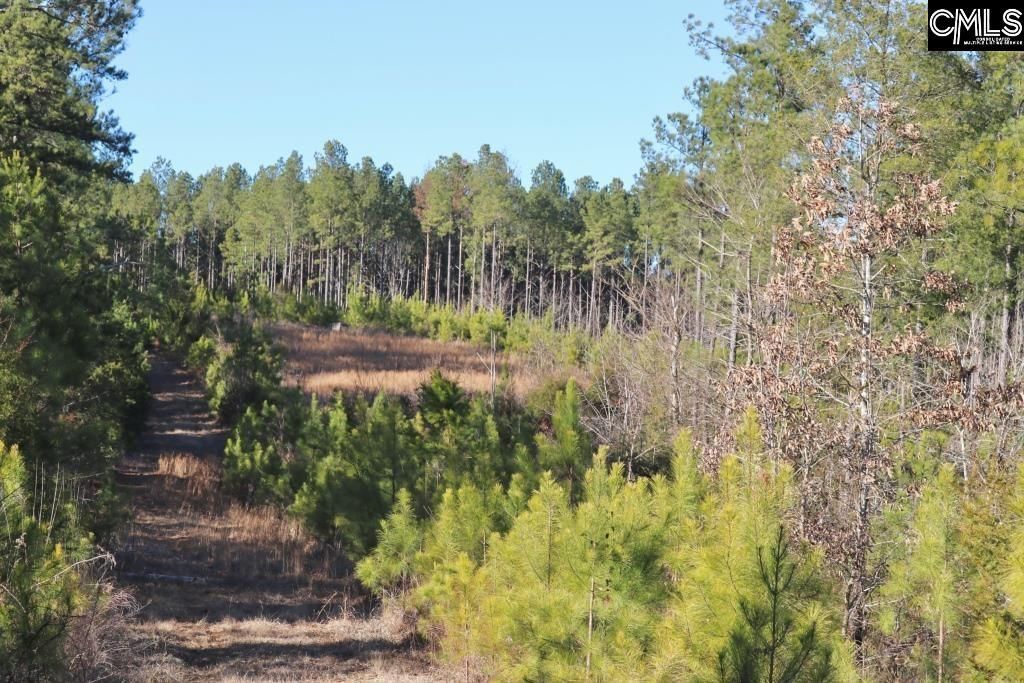 Mobley Highway  Photo 22