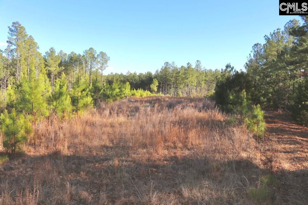 Mobley Highway  Photo 23
