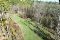 Mobley Highway  photo 4