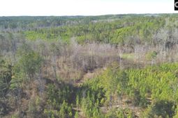 Mobley Highway  photo 4