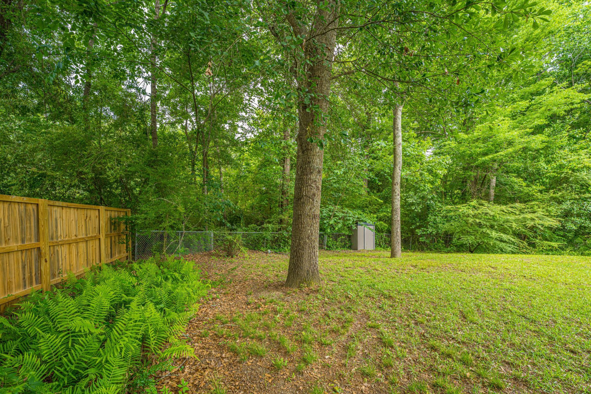 3019 Mapleleaf Drive Photo 29