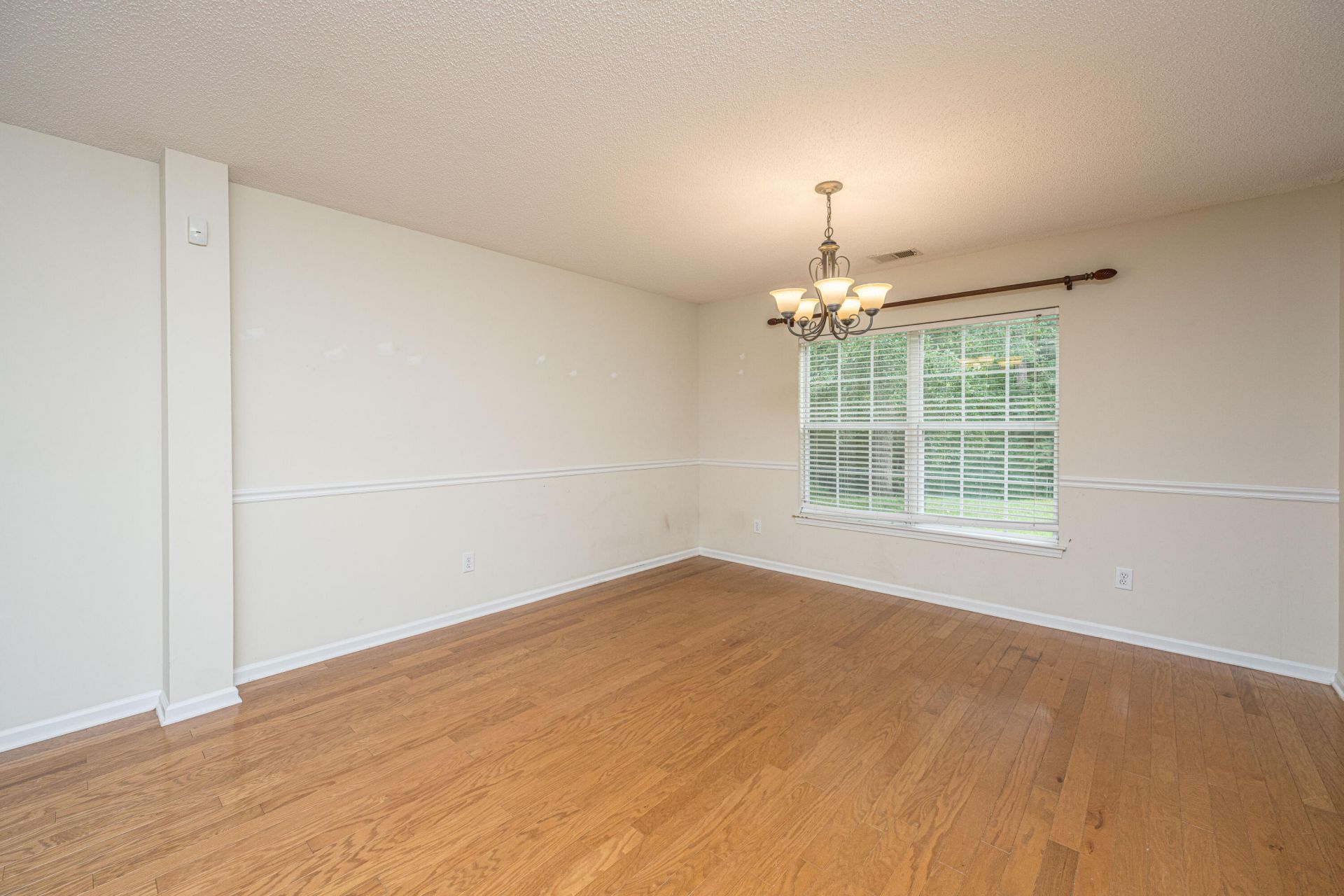 3019 Mapleleaf Drive Photo 5