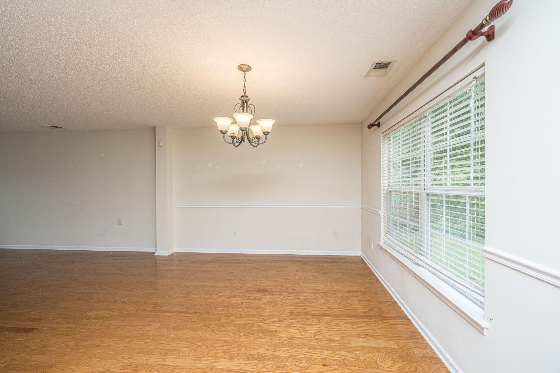 3019 Mapleleaf Drive Photo 6