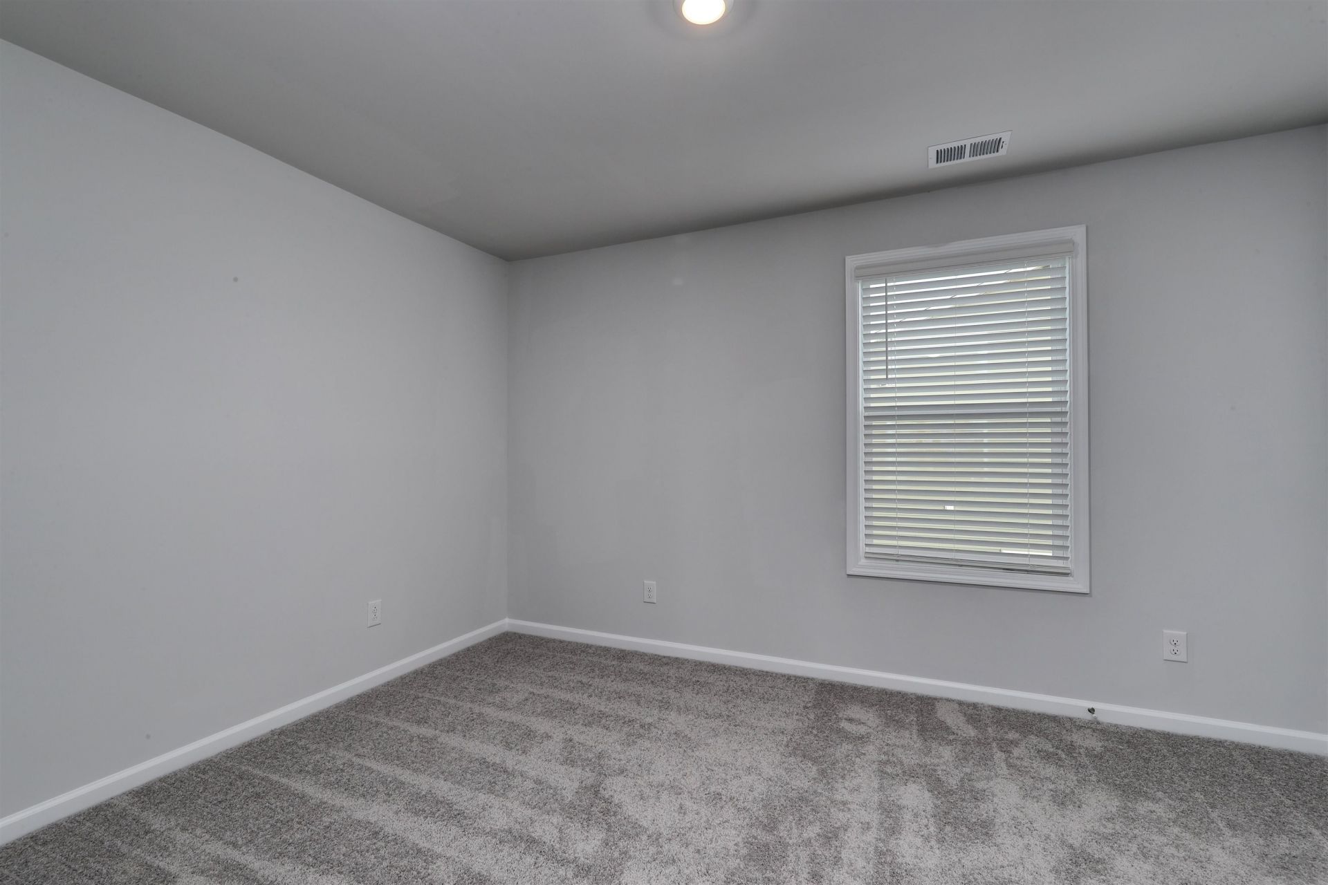 805 Wild Indigo Dr Photo 23