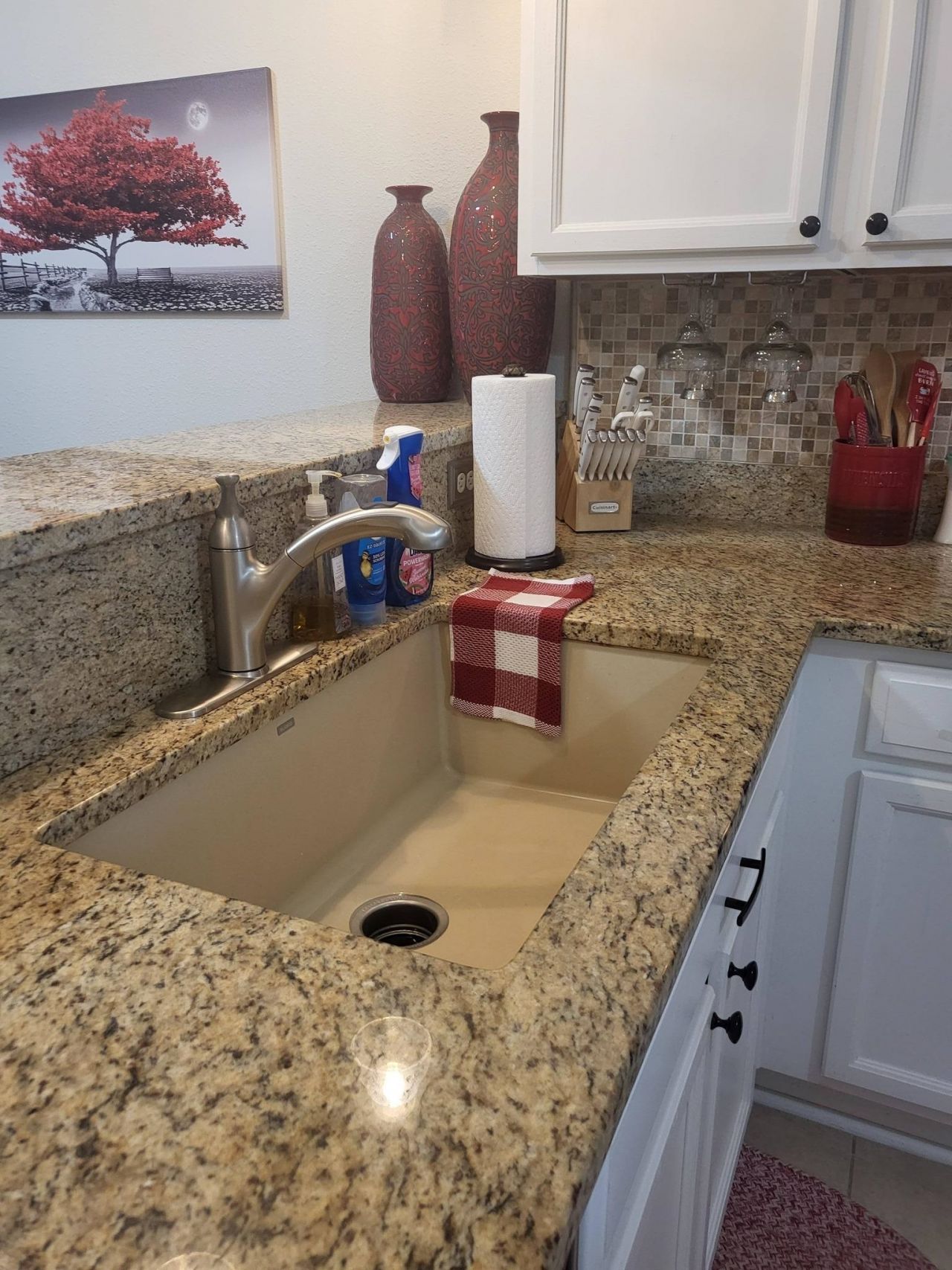 783 Painted Bunting Dr.  Photo 13
