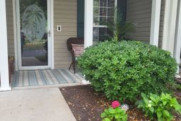 783 Painted Bunting Dr.  photo 4