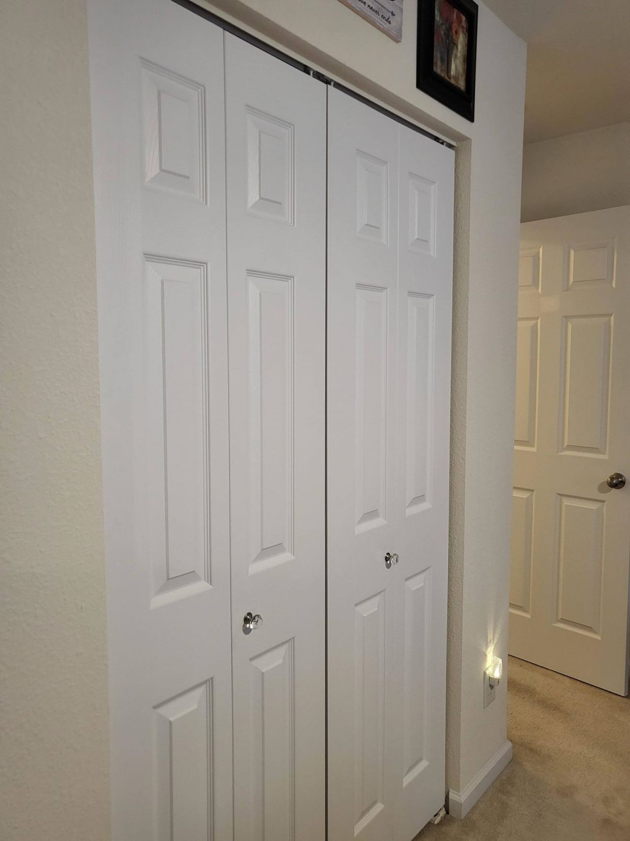 783 Painted Bunting Dr.  Photo 25
