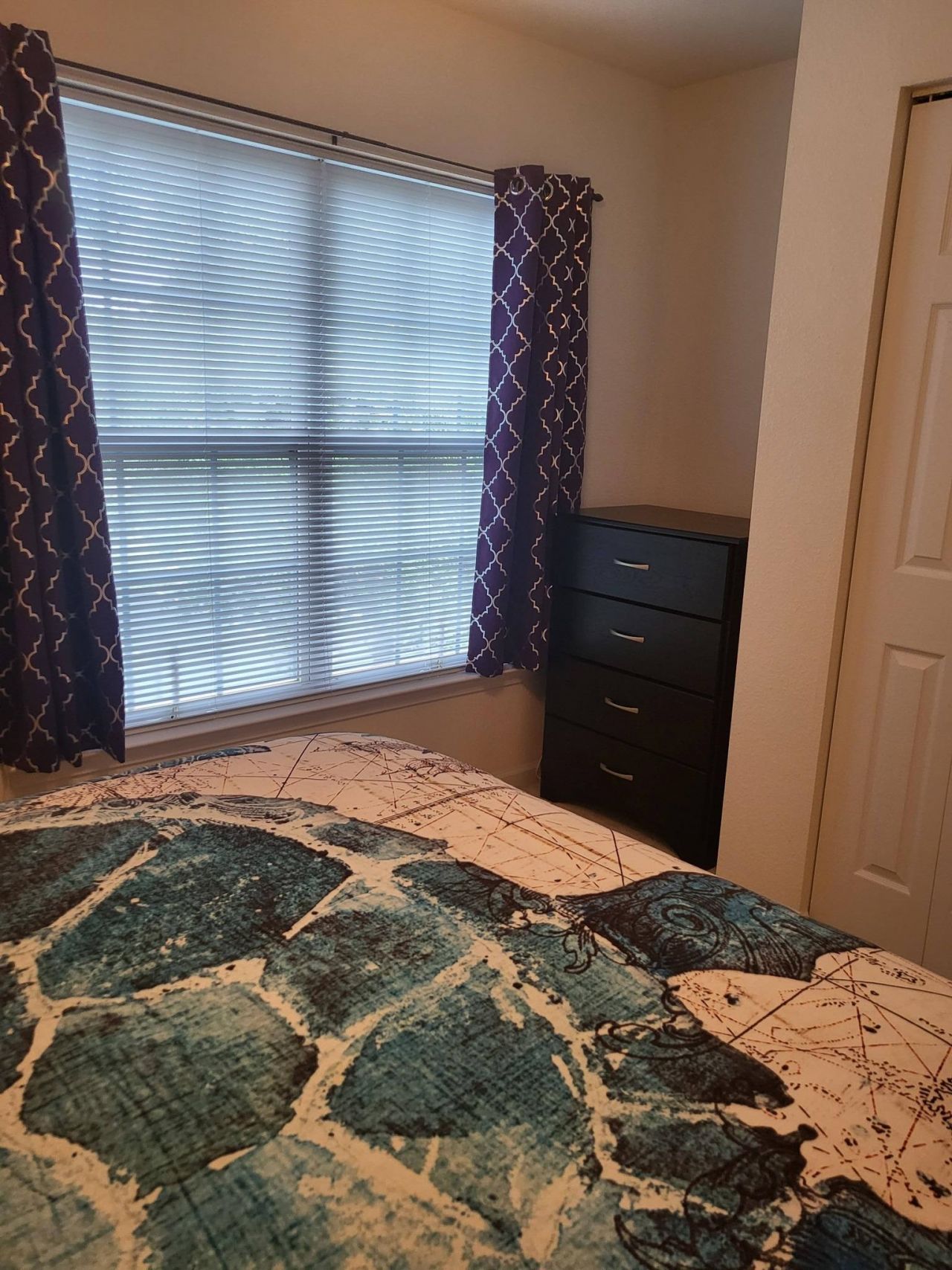 783 Painted Bunting Dr.  Photo 32