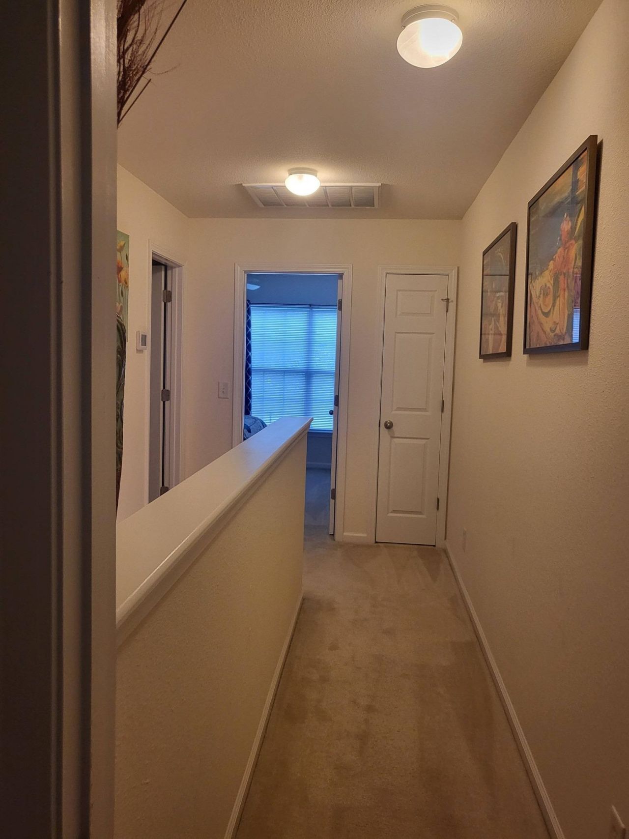 783 Painted Bunting Dr.  Photo 37