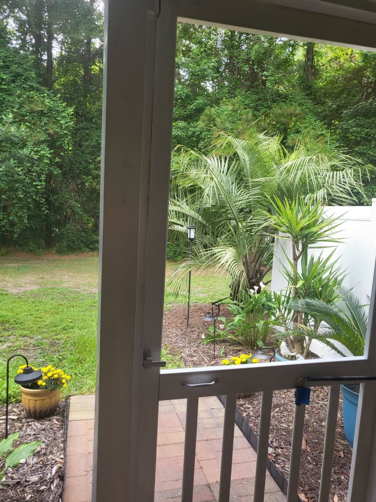 783 Painted Bunting Dr.  Photo 39