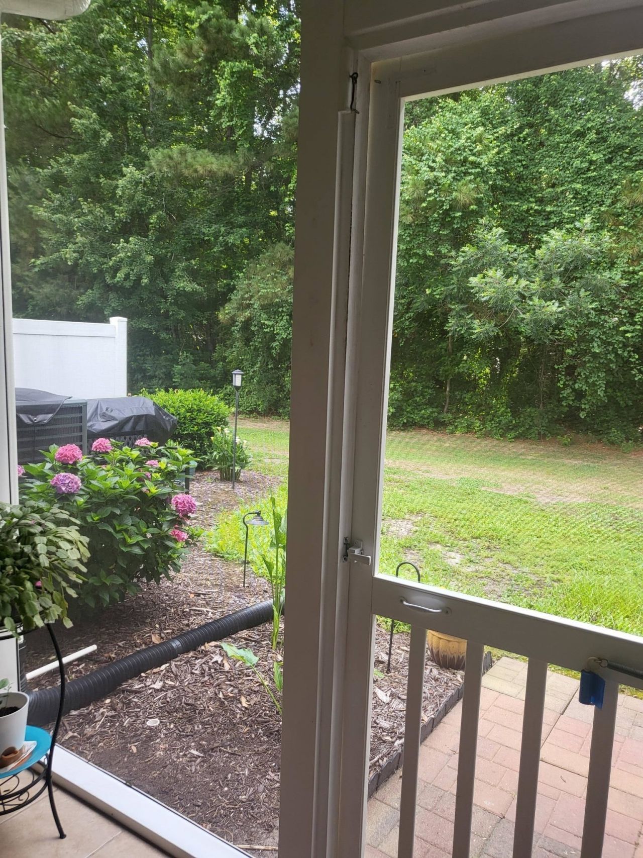 783 Painted Bunting Dr.  Photo 40