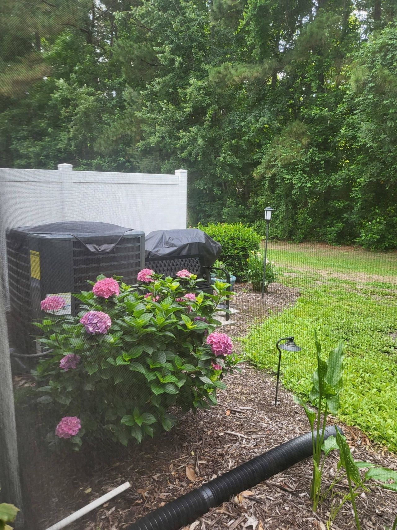 783 Painted Bunting Dr.  Photo 43