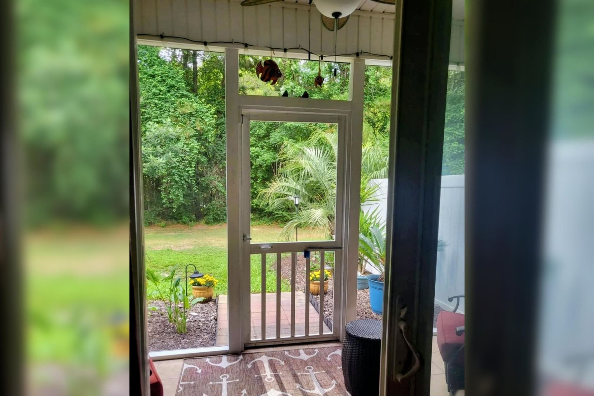 783 Painted Bunting Dr. Photo 50