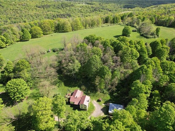 326 Park Hill Road , Erin, NY 14838
