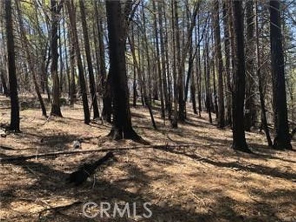 7097 High Valley, Lucerne, CA 95458