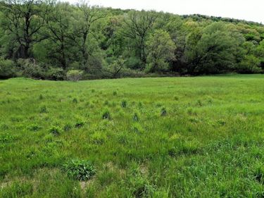 N Main Extension, Hornell, NY 14843