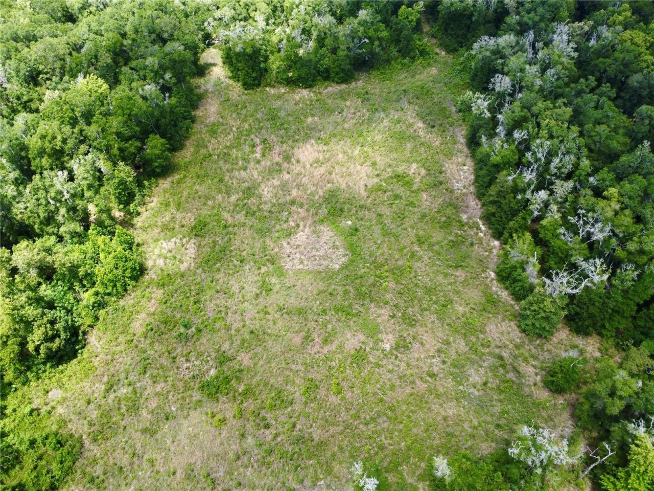 Tbd S Pine Avenue, Ocala, FL 34480 Photo
