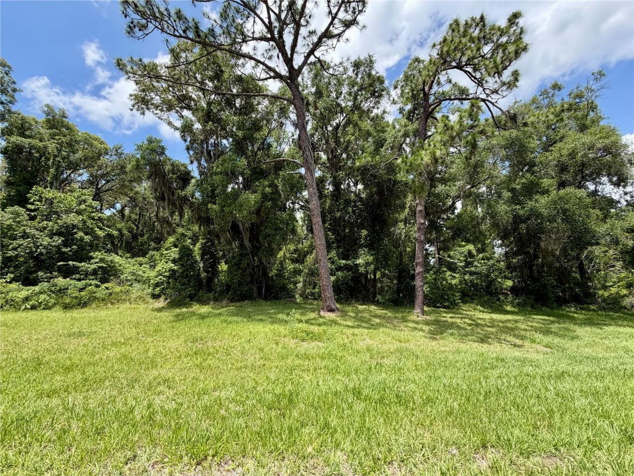 Tbd S Pine Avenue, Ocala, FL 34480 Photo