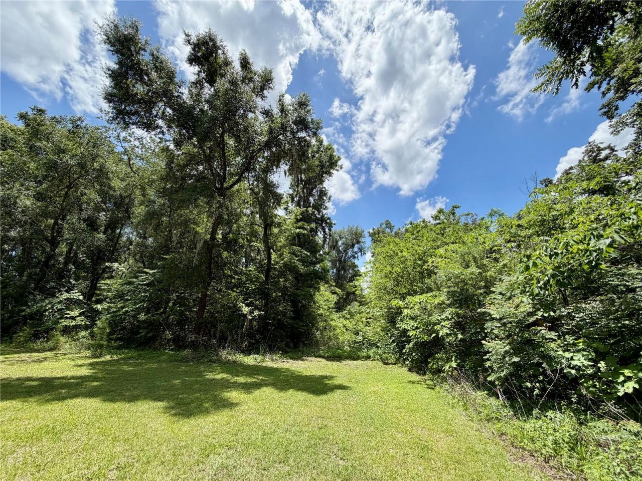 Tbd S Pine Avenue, Ocala, FL 34480 Photo
