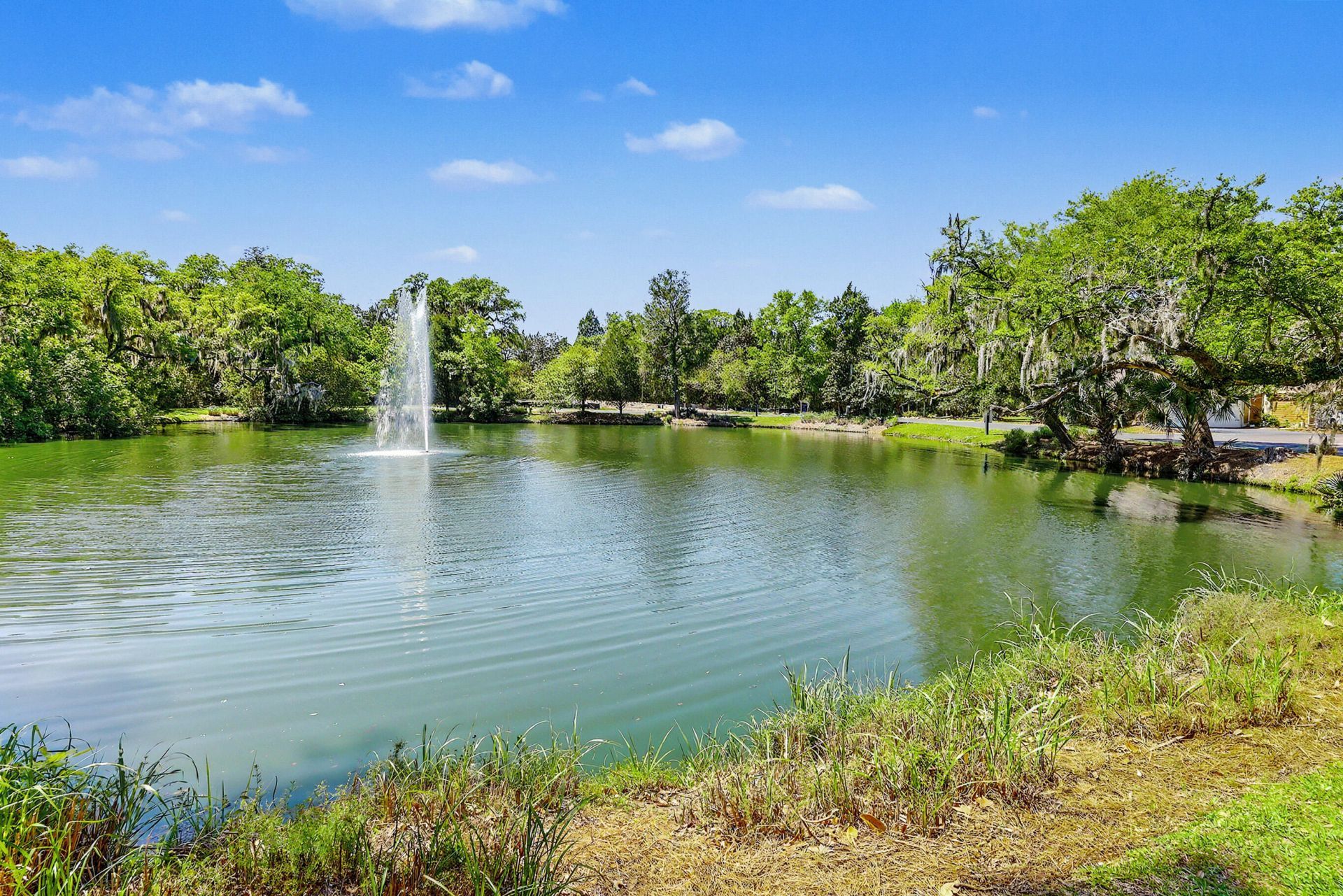 8354 Childs Cove Photo 33