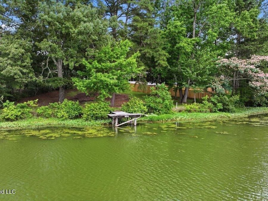 Property Image 104