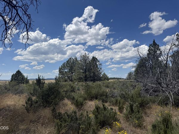 2000 oregon pines, Beatty, OR 97621