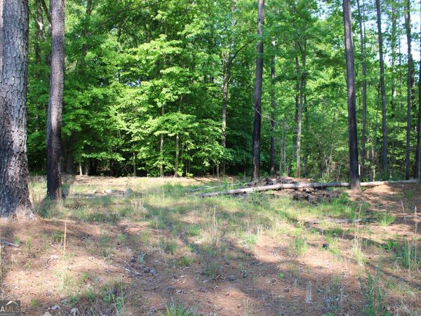 000 Hwy 87 Tract 3, Forsyth, GA 31029