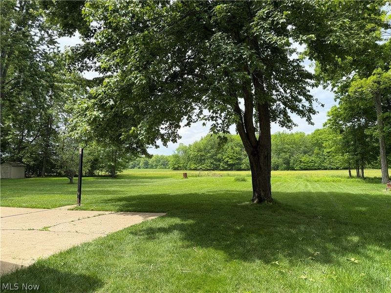 5851 Louise Avenue NW, Warren, OH 44483 Photo 9