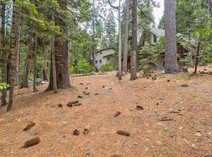 2347 Karock Rd, Dorrington, CA 95223 Photo