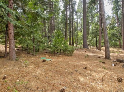 2347 Karock Rd, Dorrington, CA 95223 Photo